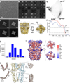 Extended Data Figure 3