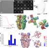 Extended Data Figure 4