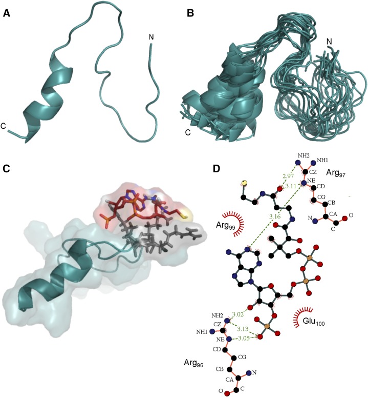 Figure 5.