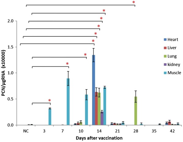 Fig. 2