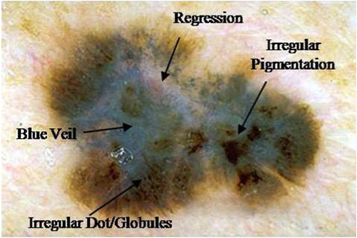 Fig. 7