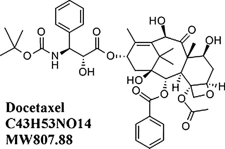 Fig. 1