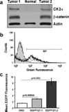 FIG. 9