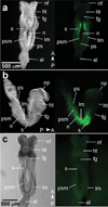 FIG. 3
