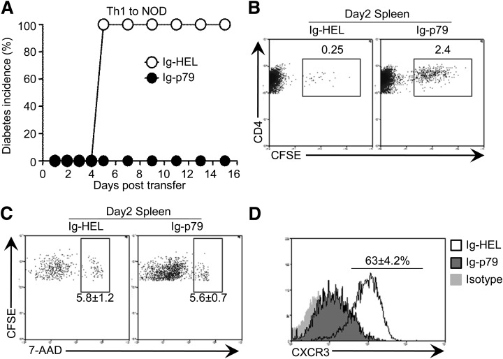 FIG. 8.