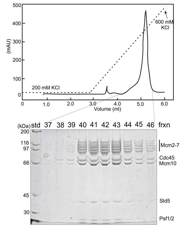 Figure 2—figure supplement 4.