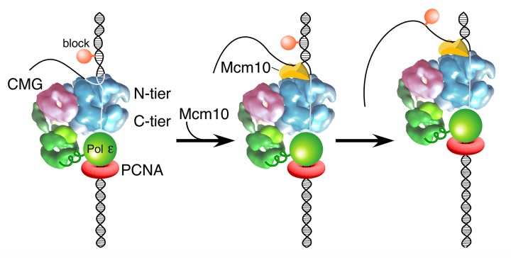 Figure 7.