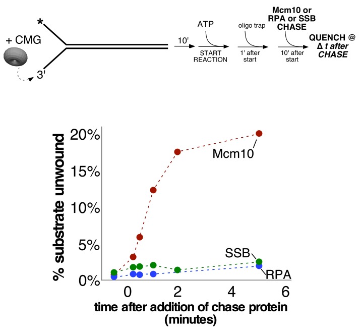 Figure 2—figure supplement 2.