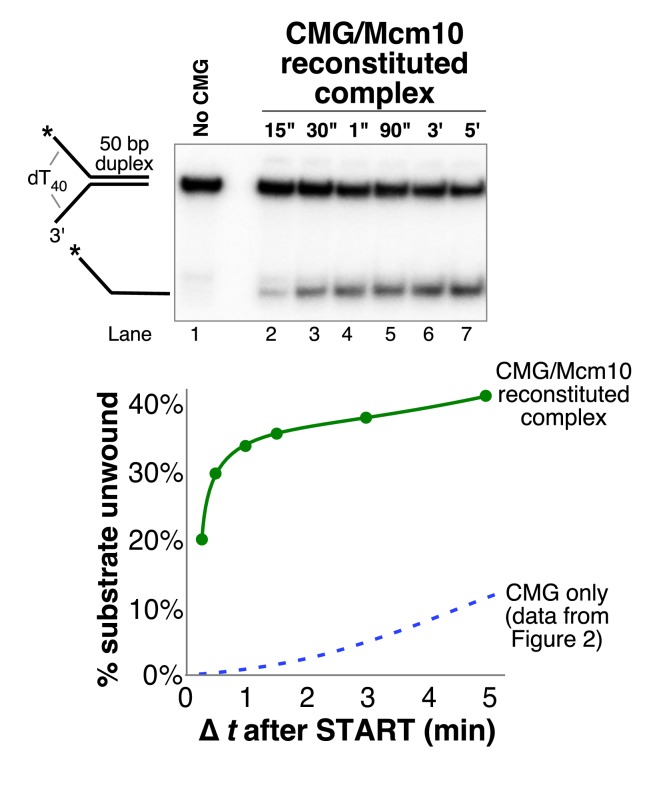 Figure 2—figure supplement 5.