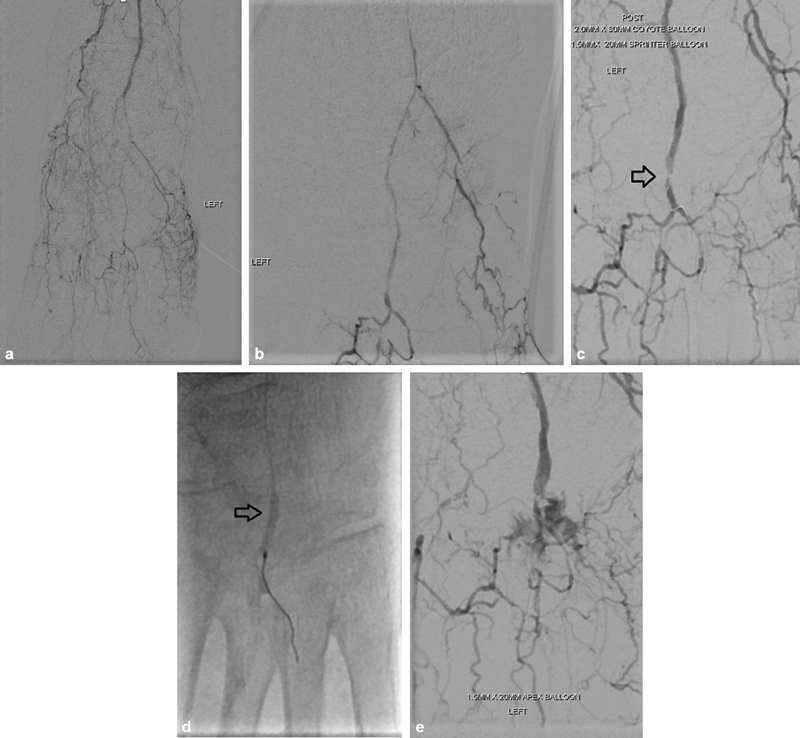 Fig. 5