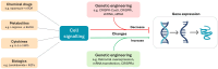 Figure 2