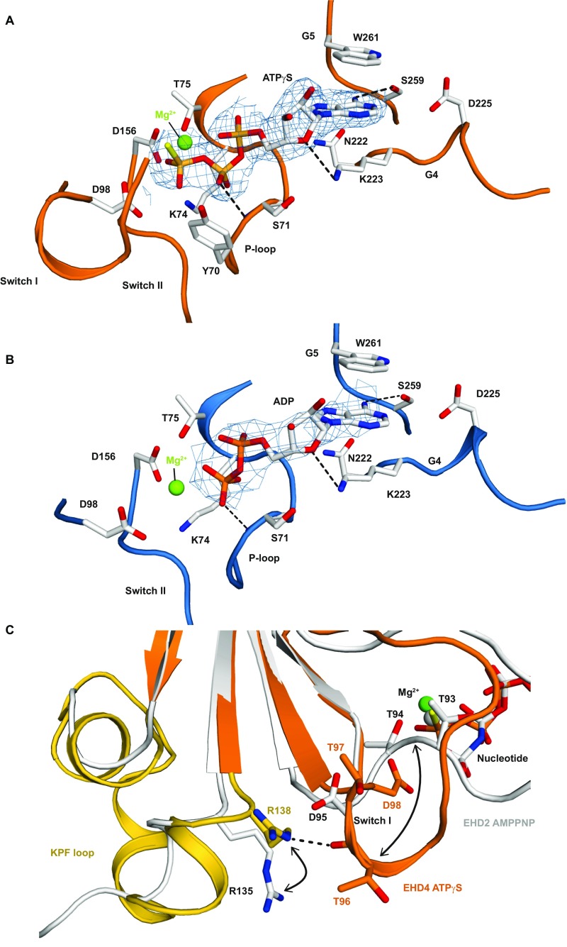 Fig. S5.