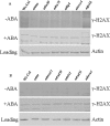Fig 7