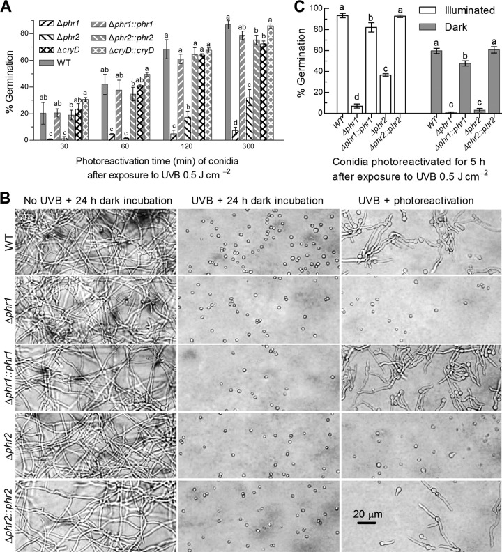 FIG 3