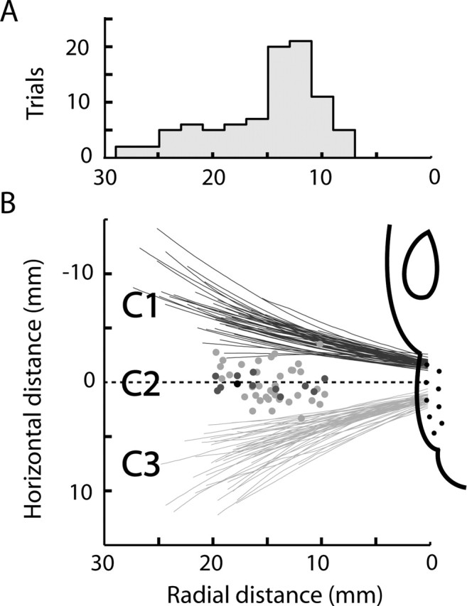 Figure 11.