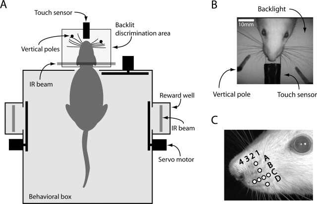 Figure 1.