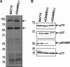 FIG. 8.