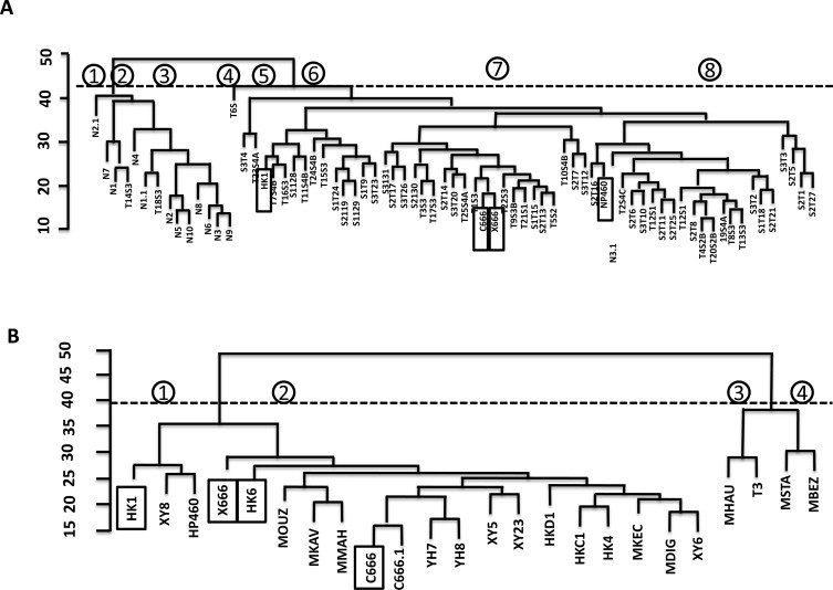 Fig. 6