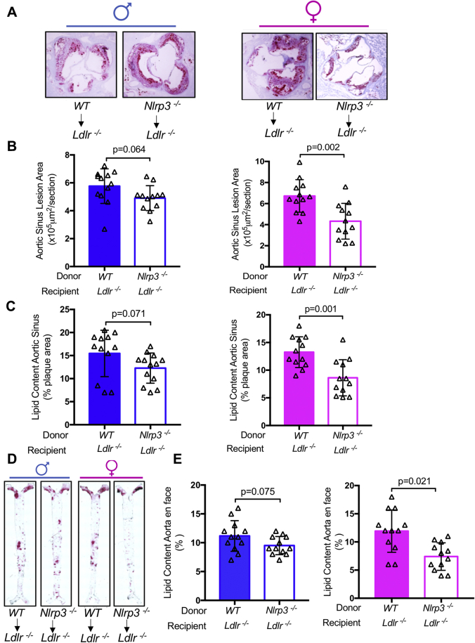 Figure 4