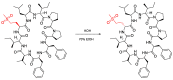 Figure 28