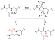 Figure 22