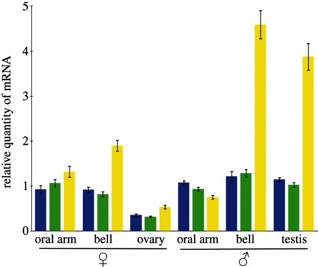 Figure 3.