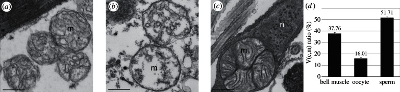 Figure 4.