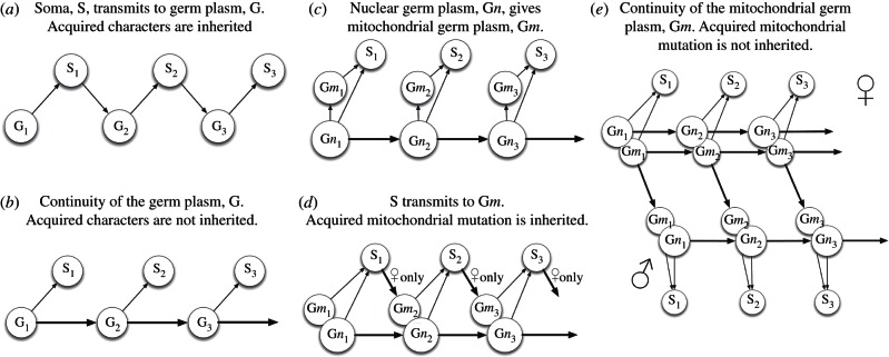 Figure 7.