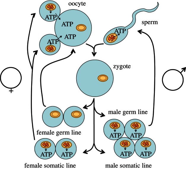 Figure 2.