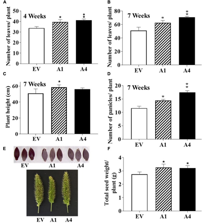 FIGURE 4