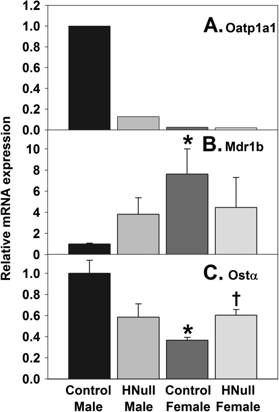 FIG. 6.