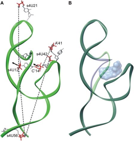 FIGURE 5.