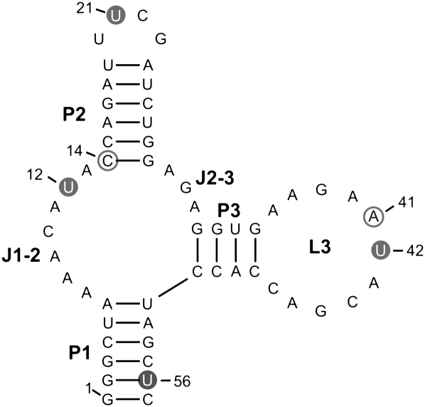 FIGURE 1.