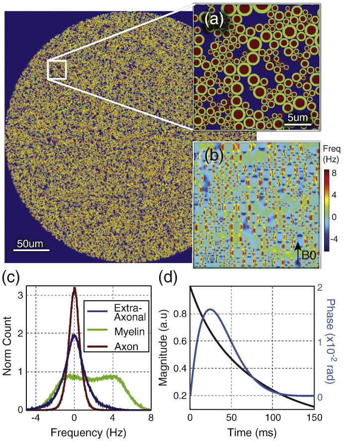 Fig. 1