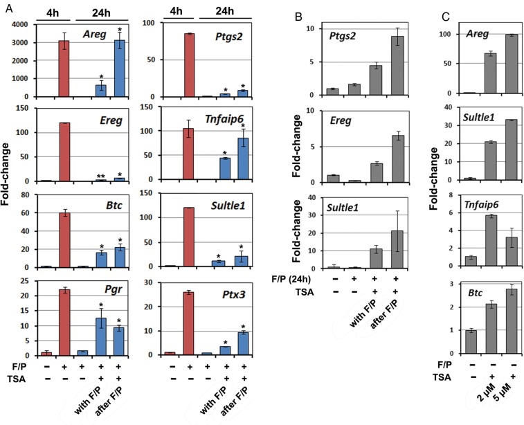 Figure 4