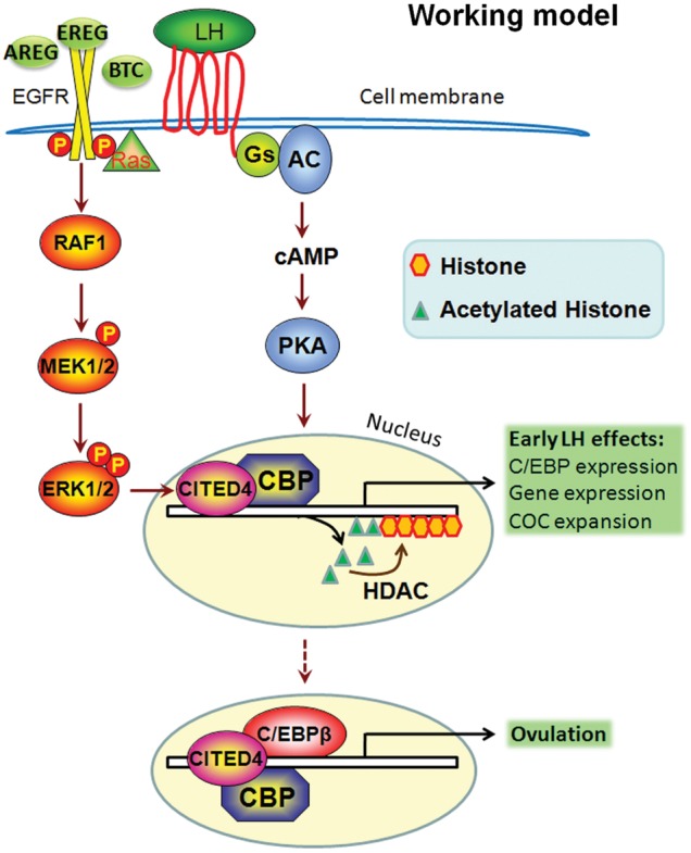 Figure 6