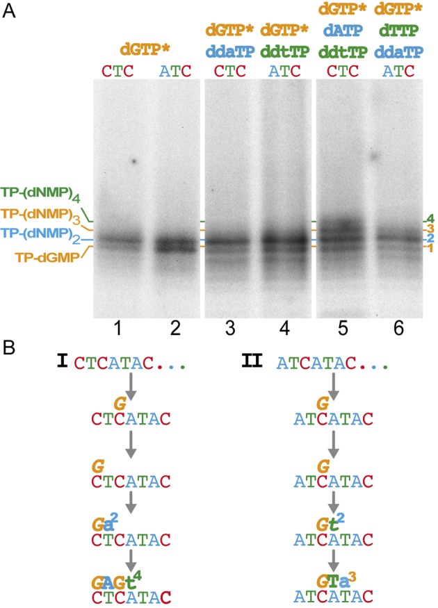 Figure 7.