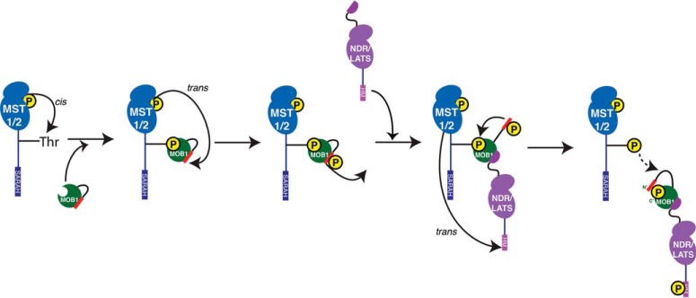 Fig. 6.