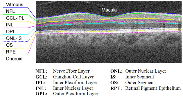 Fig. 1