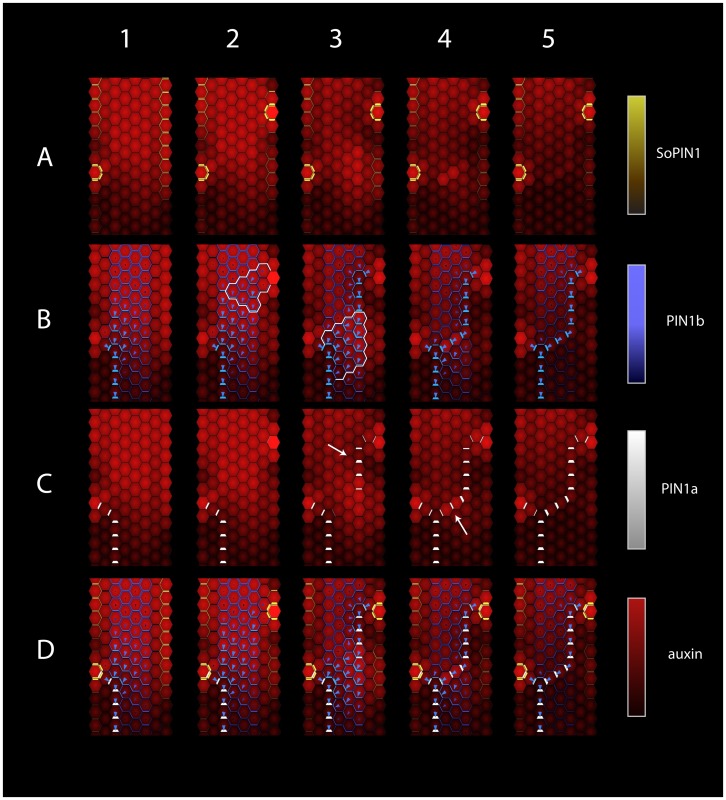 Figure 5