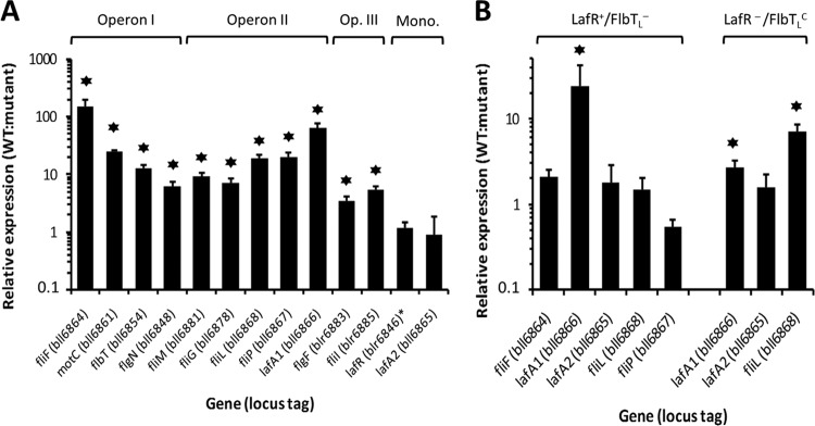 FIG 3