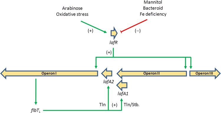 FIG 6