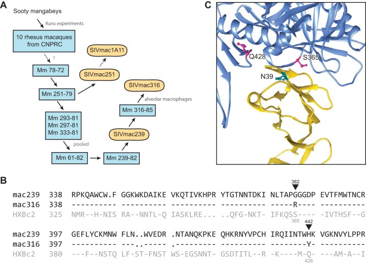 FIG 2