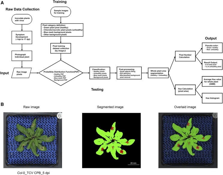 Figure 2.