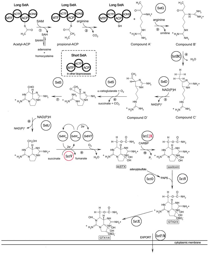 Figure 7