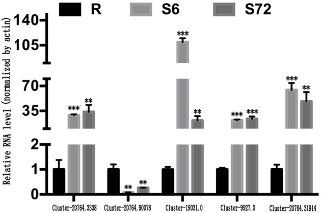 Figure 6