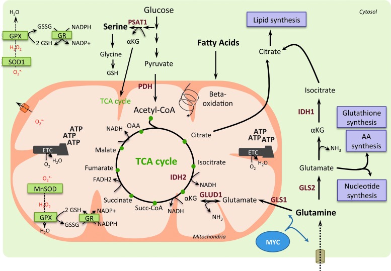 FIG. 3.