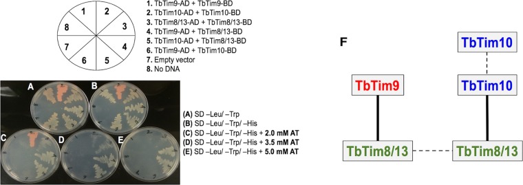 FIG 5 