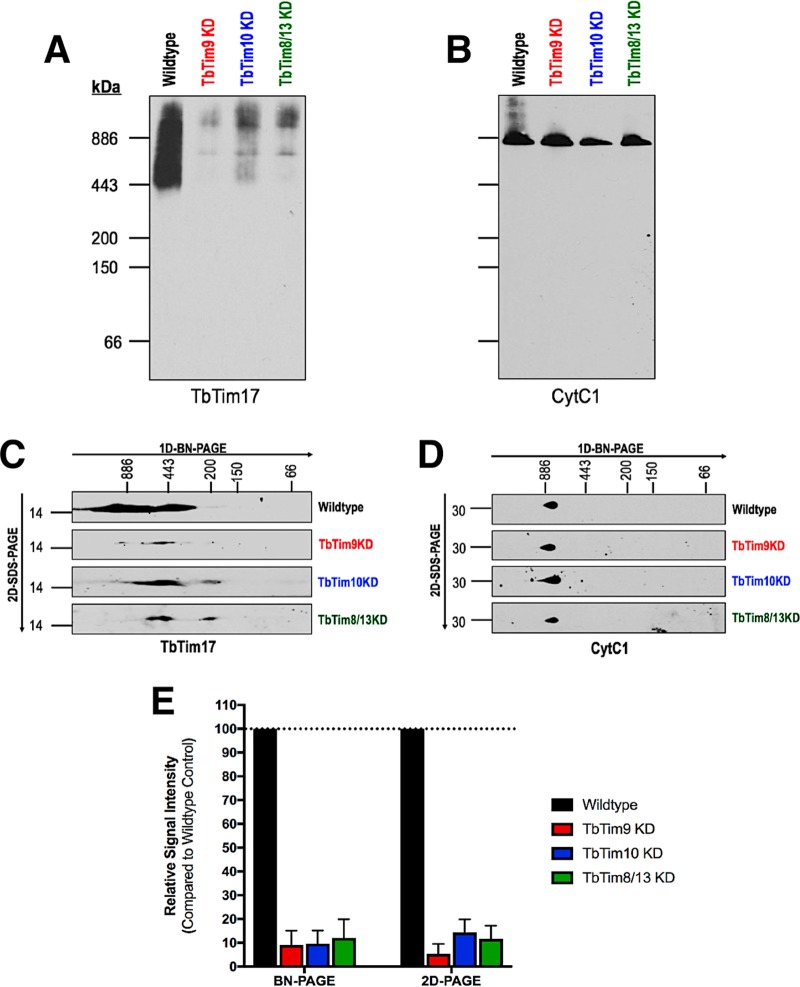 FIG 8 