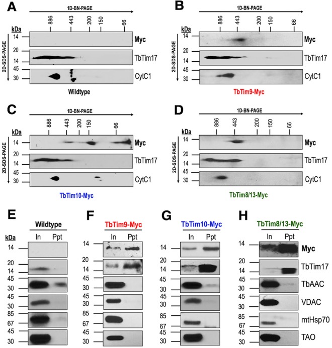 FIG 4 